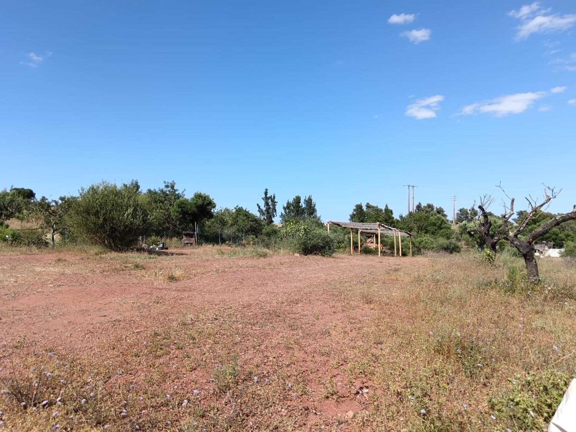 Quinta Da Fornalha - Santuario Agroecologico Villa Castro Marim Ngoại thất bức ảnh